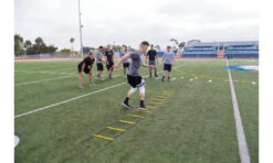 SKLZ Quick Ladder -HARBINGER Shop 0124 Quick Ladder 02