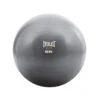 Everlast 55cm Fitball -HARBINGER Shop 1 ProductsEverlast65cmFitball 1