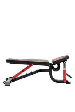 Everlast Adjustable FID Bench -HARBINGER Shop 10EverlastAdjustableFIDBench
