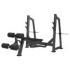 Body Iron Commercial Pro Olympic Decline Bench Press