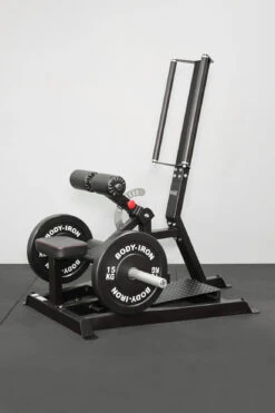 Body Iron Commercial Standing Hip Thrust Machine -HARBINGER Shop 1E61466E 4AAA 4DFA A921 C27FF900E42D