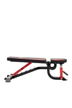 Everlast Adjustable FID Bench