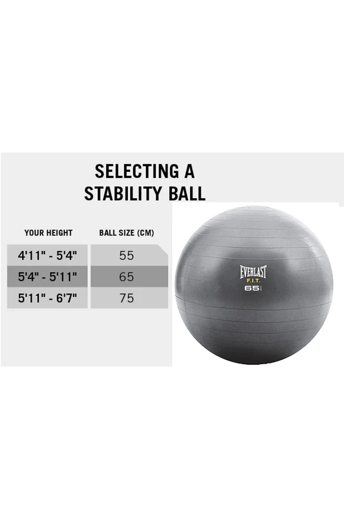 Everlast 65cm Fitball 4 Everlast 65cm Fitball - Image 2