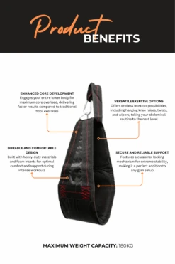 Body Iron Hanging Ab Straps 11 Body Iron Hanging Ab Straps -HARBINGER Shop 2 631a3cf7 490e 4064 9742 b7a0e93c8141