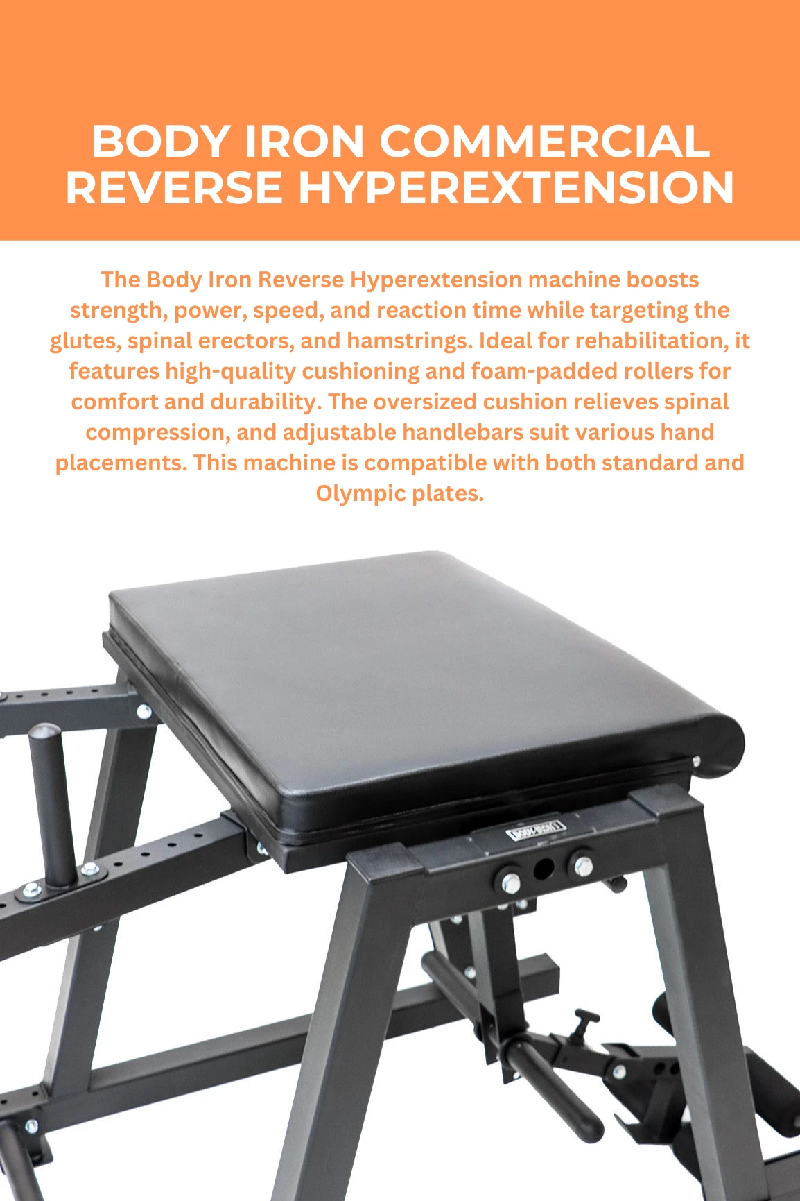 Body Iron Commercial Reverse Hyperextension 4 Body Iron Commercial Reverse Hyperextension - Image 2