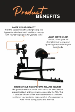 Body Iron Commercial Glute Ham Developer GHD Pro -HARBINGER Shop 3 94d787b3 702b 4eae ba5d 81a1720fca3c