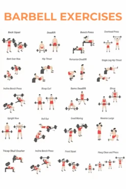 Body Iron 7ft Obsidian Commercial Olympic Barbell Rated 2000lbs -HARBINGER Shop 4 fd248fc2 3671 4d89 a7ee 0edcbdf9287e