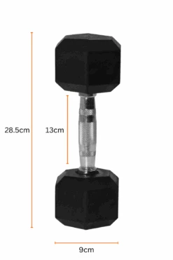 5kg Body Iron Commercial Rubber Hex Dumbbell Pair -HARBINGER Shop 5kgDumbbellSet