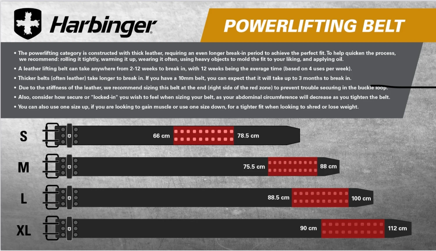 Harbinger Powerlifting Belt 10mm Black 5 Harbinger Powerlifting Belt 10mm Black - Image 3