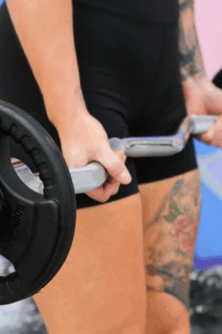 Body Iron Commercial Olympic Ez Curl Bar -HARBINGER Shop 8 095322ac ee4f 4f16 bfe6 8c4d75db8d80