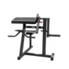 Body Iron Bicep Curl & Triceps Extension -HARBINGER Shop BodyIronBicepCurl TricepsExtension 1