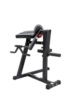 Body Iron Bicep Curl & Triceps Extension -HARBINGER Shop BodyIronBicepCurl TricepsExtension 4
