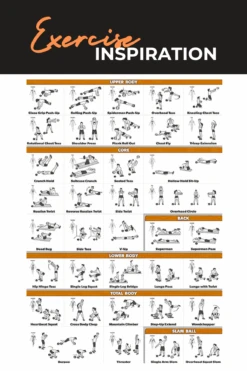 Body Iron Rising Pro Commercial Medicine Ball 8Kg -HARBINGER Shop BodyIronRisingProCommercialMedicineBall 4