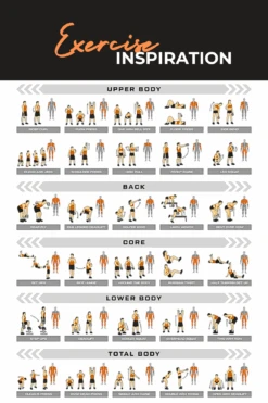 Body Iron Rising Pro Grade Competition Kettlebell 12kg -HARBINGER Shop BodyIronRisingProGradeCompetitionKettlebell 3