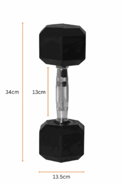 15kg Body Iron Commercial Rubber Hex Dumbbell Pair -HARBINGER Shop Copyof1.10kgDumbbellSet