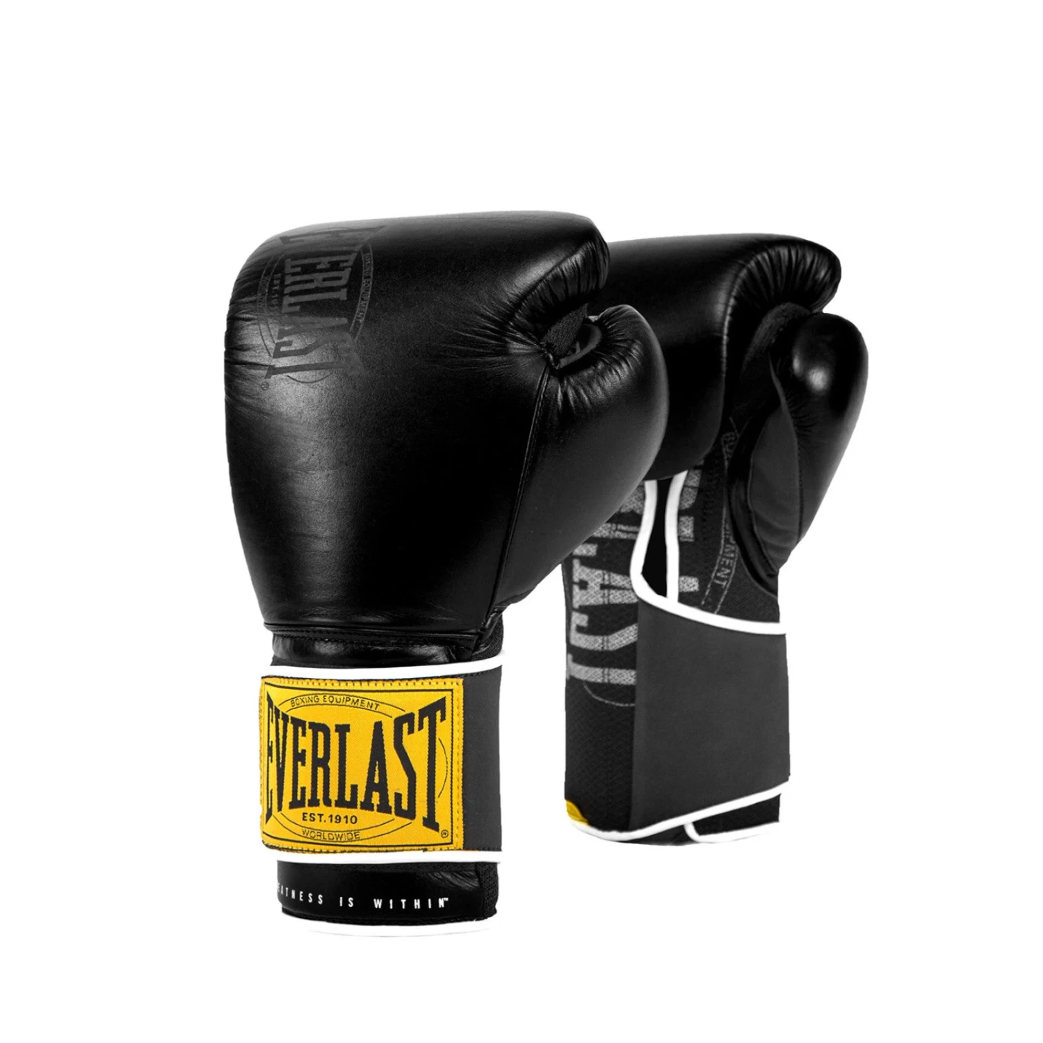 Everlast 1910 Classic Training Leather Boxing Gloves 4 Everlast 1910 Classic Training Leather Boxing Gloves - Image 2