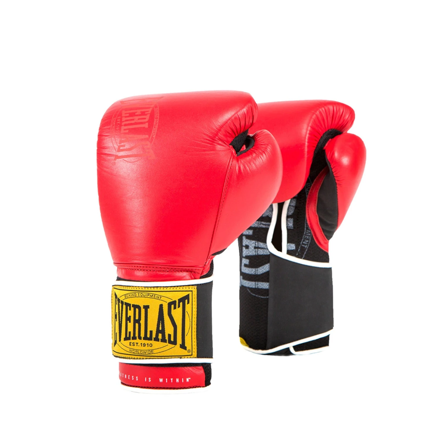 Everlast 1910 Classic Training Leather Boxing Gloves 5 Everlast 1910 Classic Training Leather Boxing Gloves - Image 3