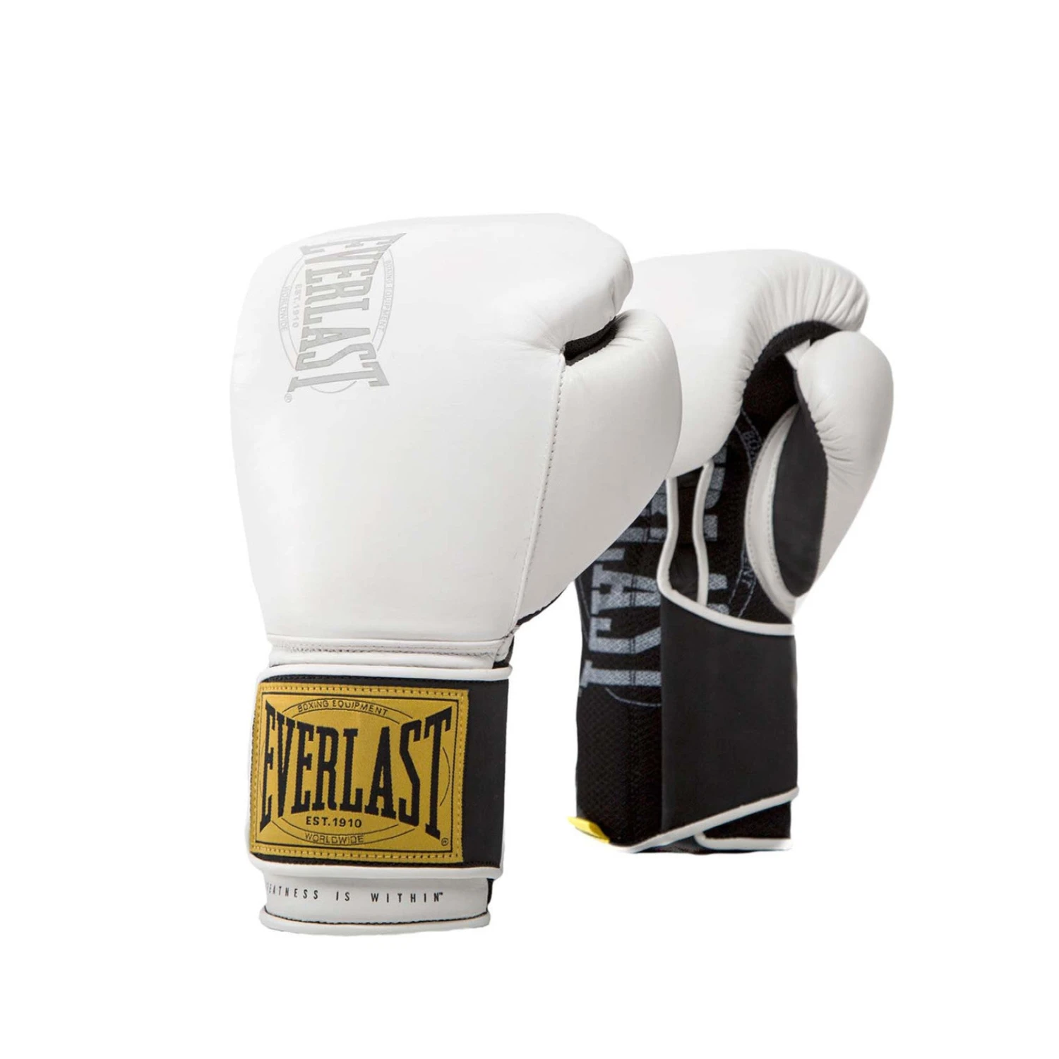 Everlast 1910 Classic Training Leather Boxing Gloves 6 Everlast 1910 Classic Training Leather Boxing Gloves - Image 4