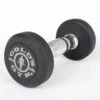Gold's Gym 2.5kg Rubber Dumbbell Pair 1 Gold's Gym 2.5kg Rubber Dumbbell Pair -HARBINGER Shop GG RD 2.5KG 1 800x800 1