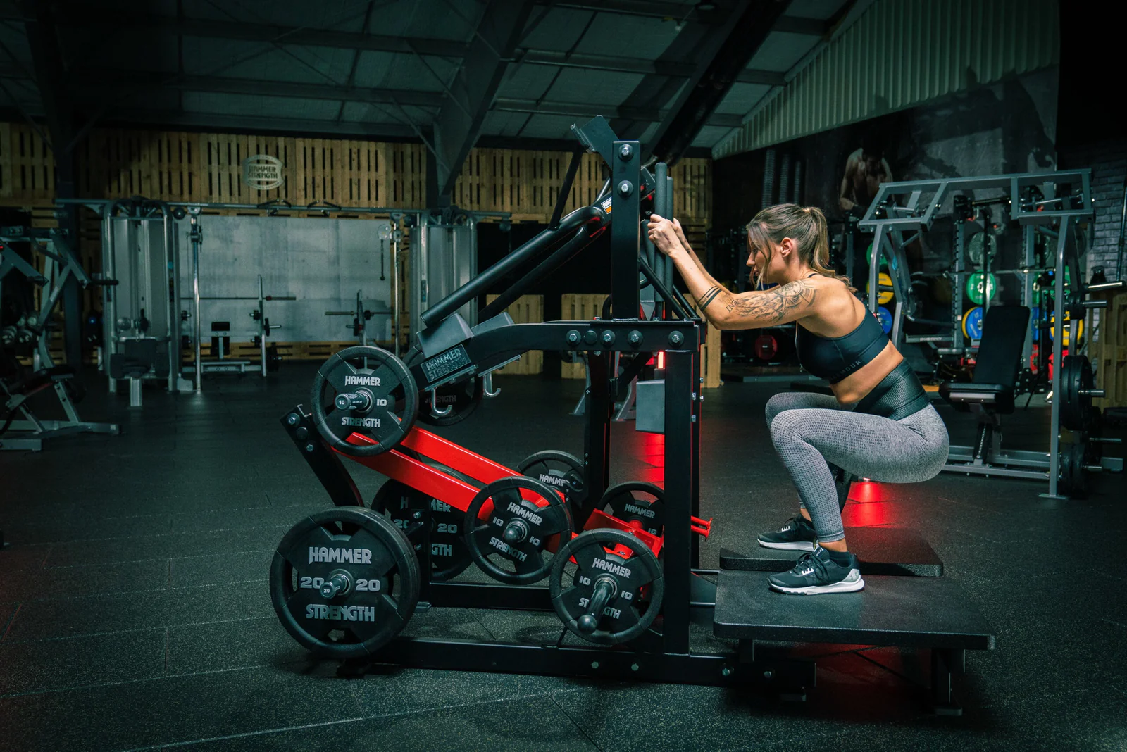 HARBINGER Shop -HARBINGER Shop Hammer Strength plate loaded belt squat action c98751ec 58ad 4345 87f7