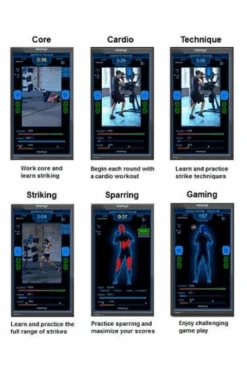 Nexersys Home Boxing System 3.0 Conversion Kit (PRE-INSTALLED) -HARBINGER Shop NexersysHomeBoxingSystem 5 31c9f068 f9b2 4bdf 8997 e2219fe0c780