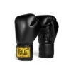 Everlast 1910 Boxing Glove 1 Everlast 1910 Boxing Glove -HARBINGER Shop black hi res